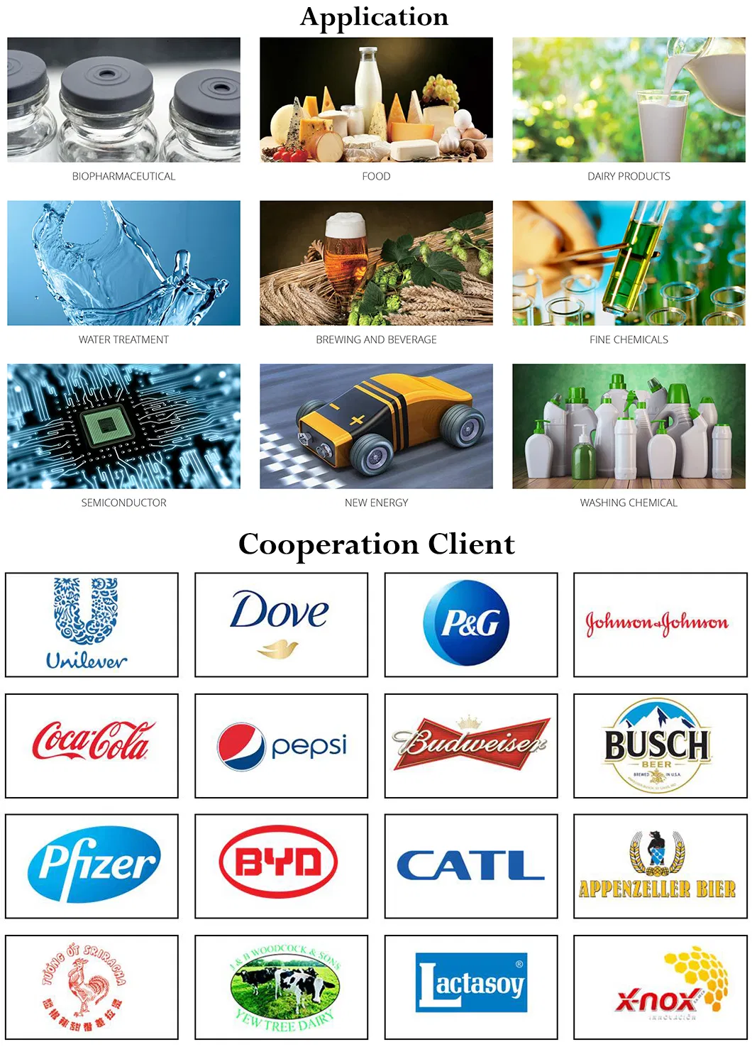 Donjoy Hygienic Stainless Steel Tank Bottom Valve with Elbow Connetctor